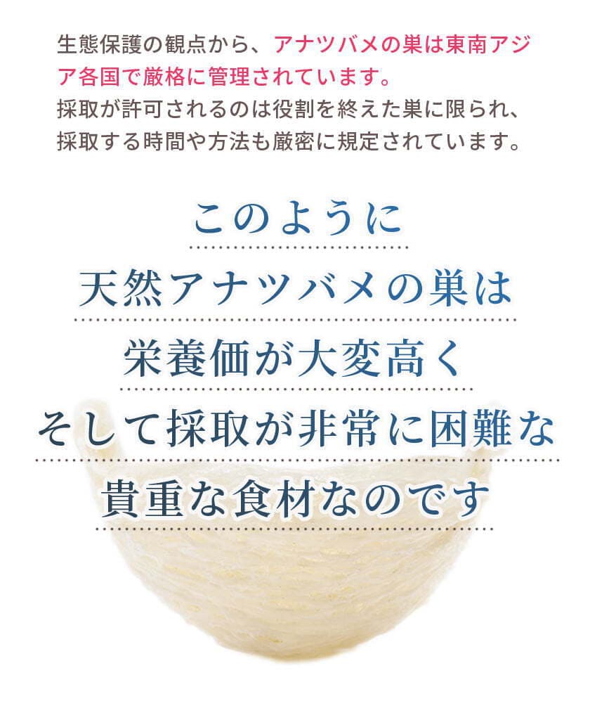 生態保護の観点から、アナツバメの巣は東南アジア各国で厳格に管理されています。採取が許可されるのは役割を終えた巣に限られ、採取する時間や方法も厳密に規定されています。このように天然アナツバメの巣は栄養価が大変高くそして採取が非常に困難な貴重な食材なのです