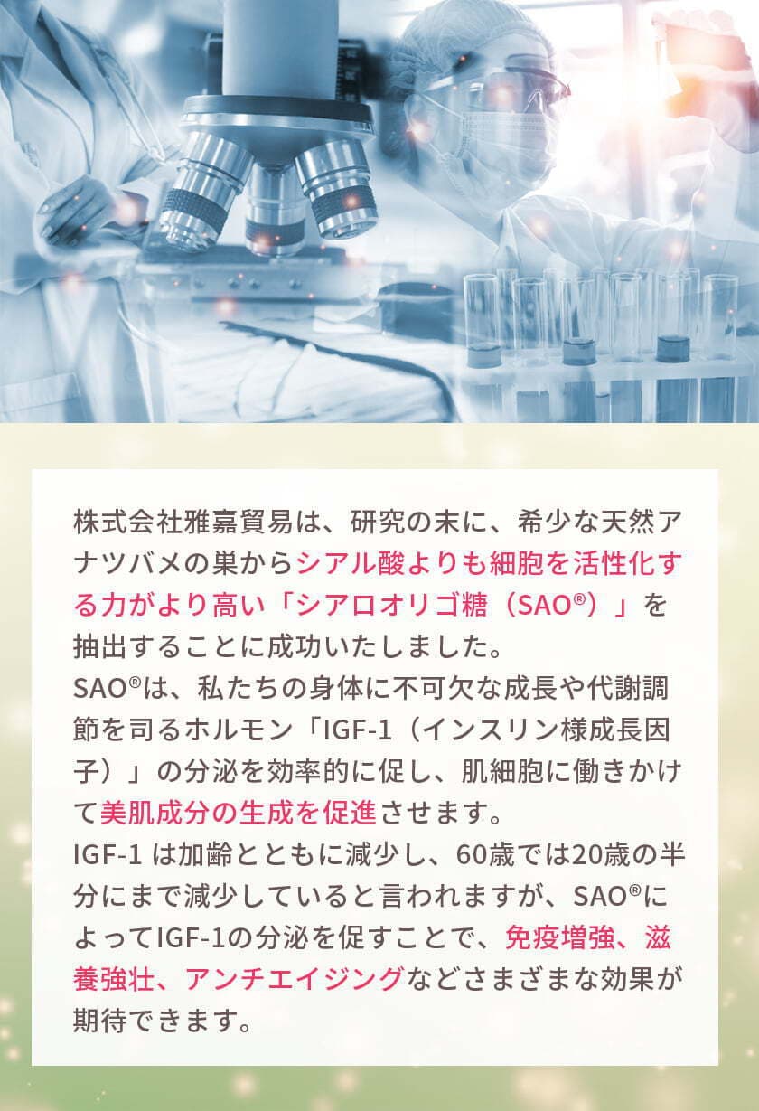 株式会社雅嘉貿易は、研究の末に、希少な天然アナツバメの巣からシアル酸よりも細胞を活性化する力がより高い「シアロオリゴ糖（SAO®）」を抽出することに成功いたしました。SAO®は、私たちの身体に不可欠な成長や代謝調節を司るホルモン「IGF-1（インスリン様成長因子）」の分泌を効率的に促し、肌細胞に働きかけて美肌成分の生成を促進させます。IGF-1 は加齢とともに減少し、60歳では20歳の半分にまで減少していると言われますが、SAO®によってIGF-1の分泌を促すことで、免疫増強、滋養強壮、アンチエイジングなどさまざまな効果が期待できます。